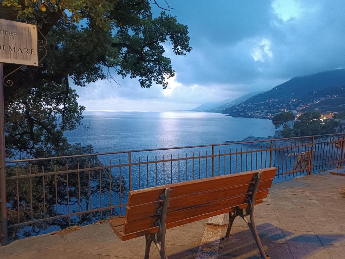 A Dream Codice Citra 010047-Lt-0161 Apartment Recco Exterior photo