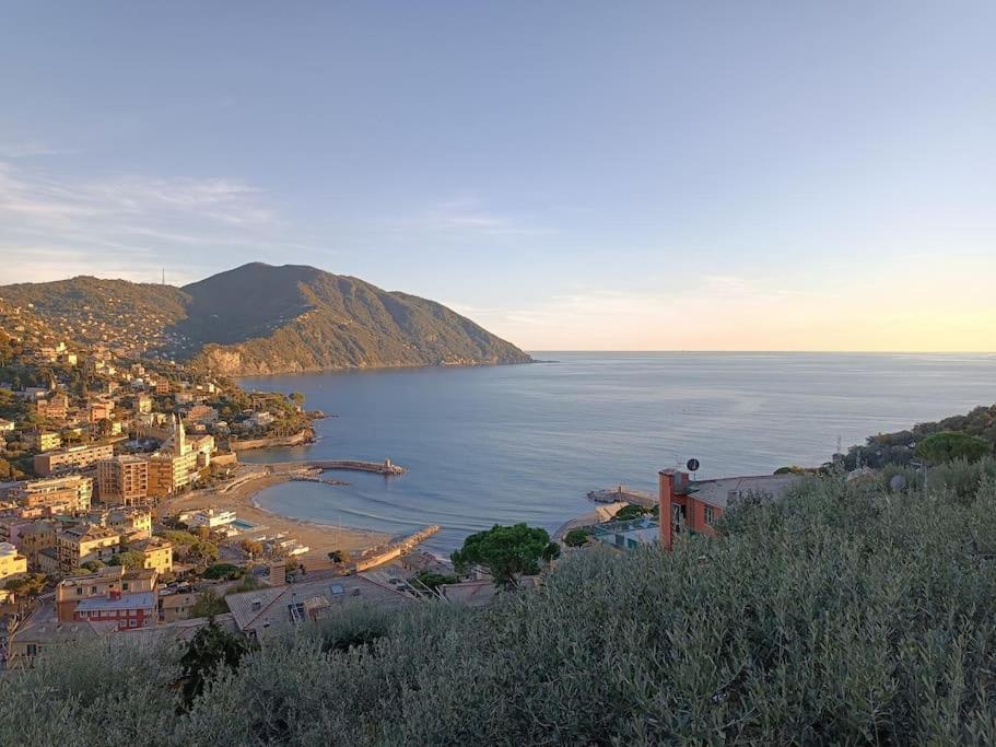 A Dream Codice Citra 010047-Lt-0161 Apartment Recco Exterior photo